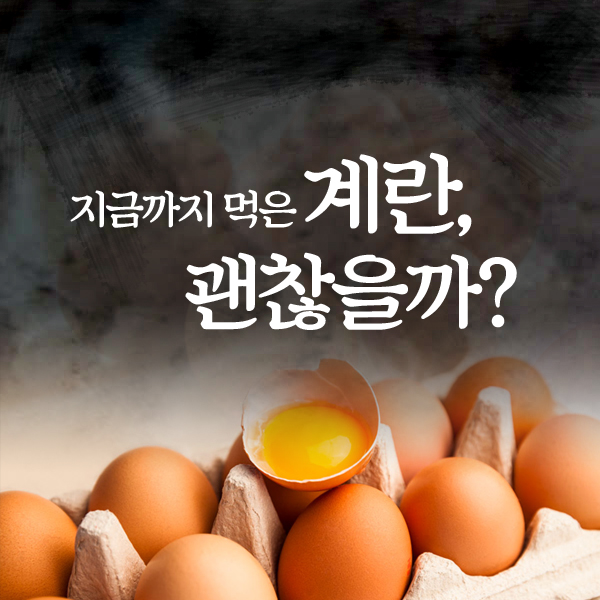 지금까지 먹은 계란, 괜찮을까?