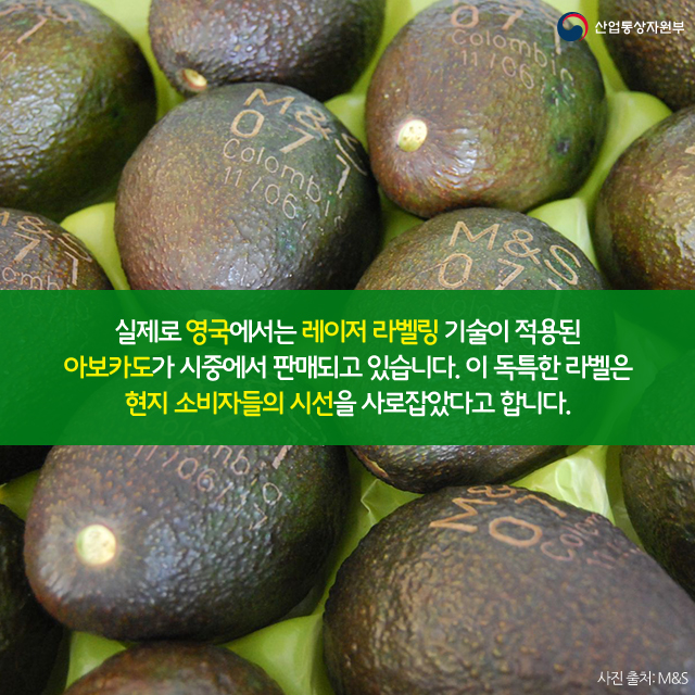 과일 껍질에 라벨을 새긴다?