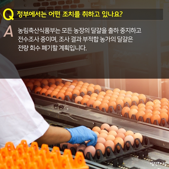 살충제 계란