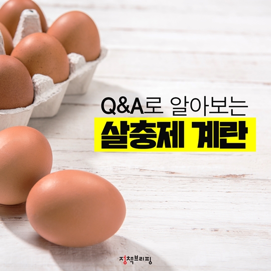 살충제 계란