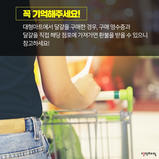 살충제 계란