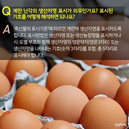 살충제 계란
