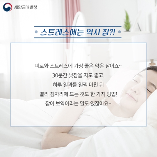 더위 스트레스 해소법