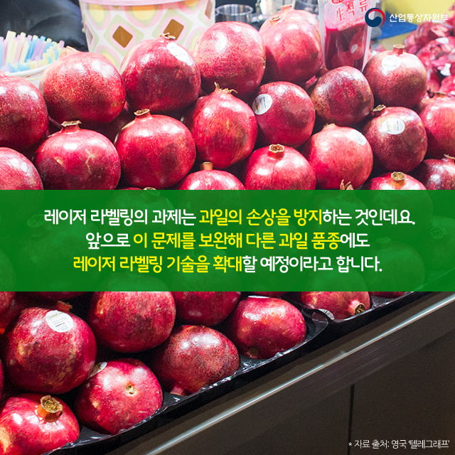 과일 껍질에 라벨을 새긴다?