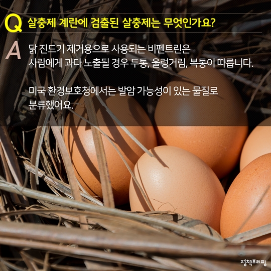 살충제 계란