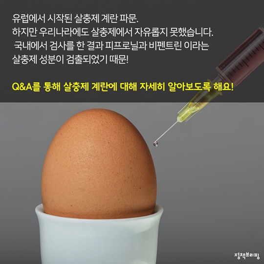 살충제 계란