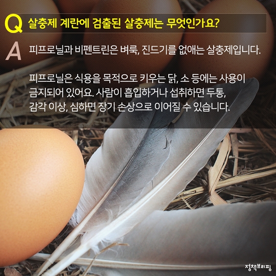 살충제 계란