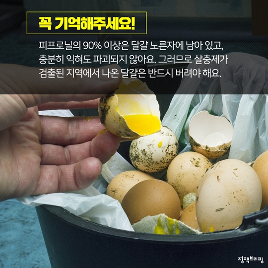 살충제 계란