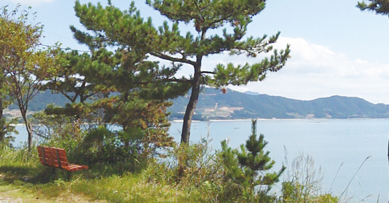 해안누리길 곳곳에 벤치나 정자가 마련되어 있어서 조용하게 바다를 감상하기에 좋다.