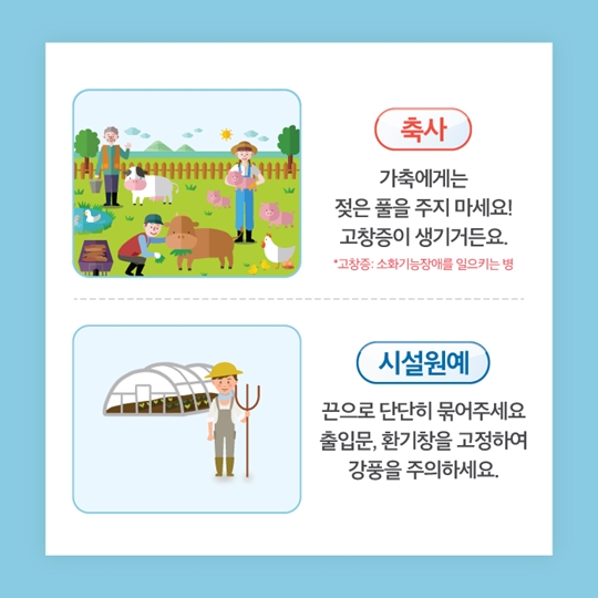태풍 대비 농작물 관리요령