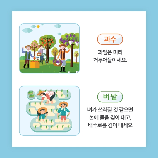 태풍 대비 농작물 관리요령