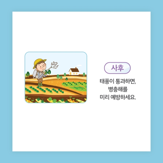 태풍 대비 농작물 관리요령
