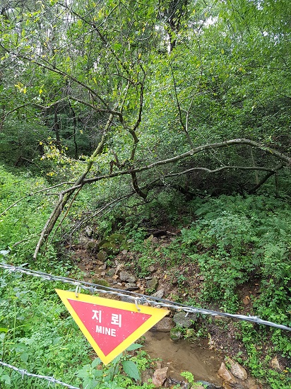 긴장감 높이는 지뢰표지