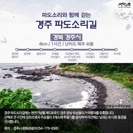 은은한 달빛을 따라 걷기 좋은 길 10선