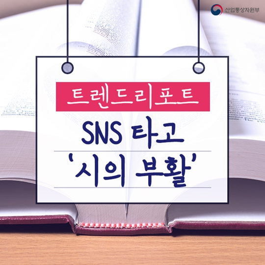 시의 인기는 SNS를 타고