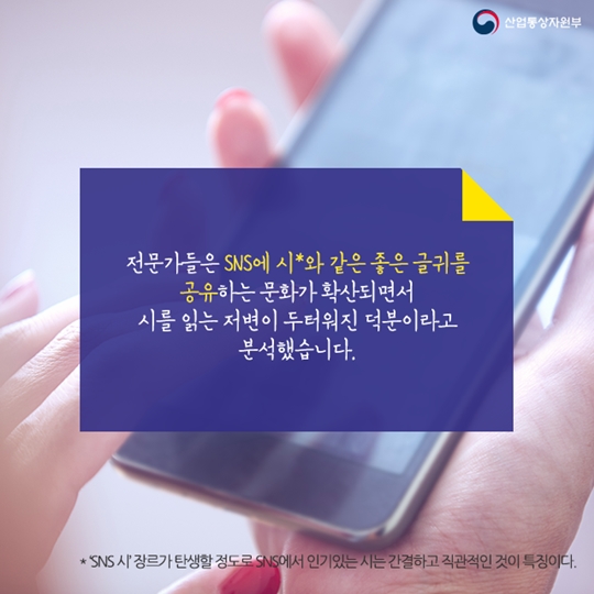 시의 인기는 SNS를 타고