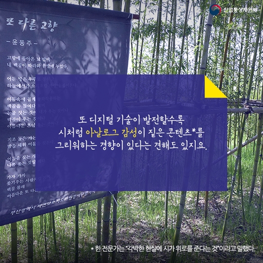 시의 인기는 SNS를 타고