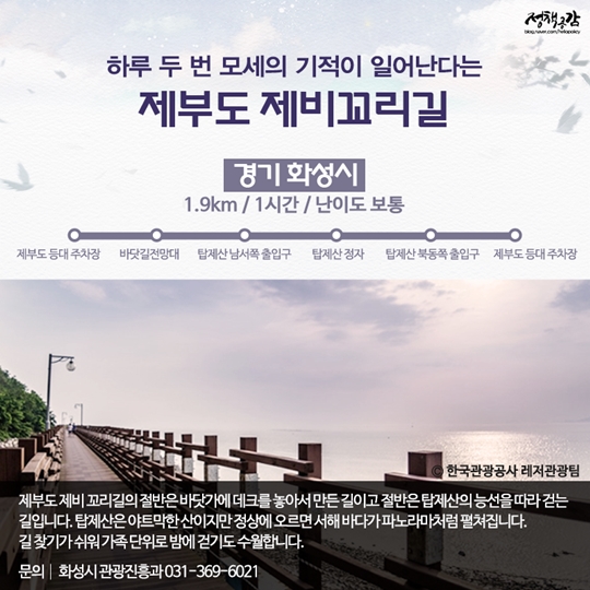 은은한 달빛을 따라 걷기 좋은 길 10선