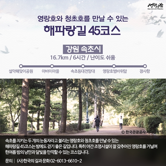 은은한 달빛을 따라 걷기 좋은 길 10선