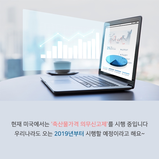 닭고기 유통가격 공개