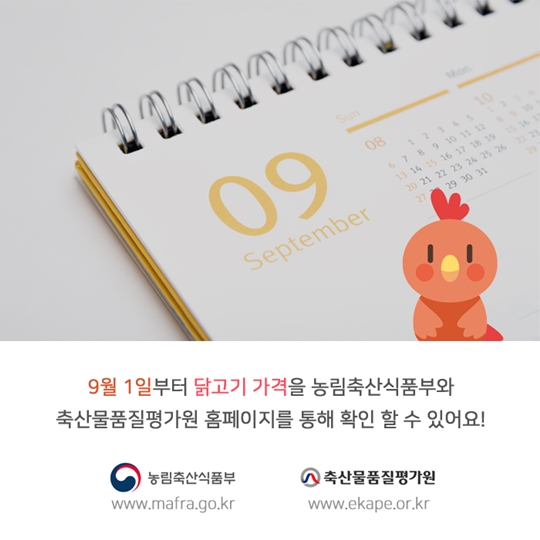 닭고기 유통가격 공개