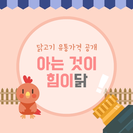 닭고기 유통가격 공개
