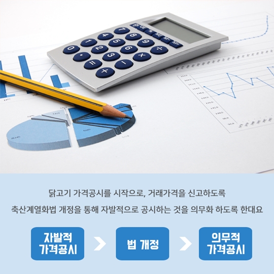 닭고기 유통가격 공개