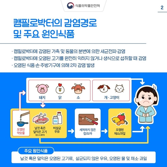 환절기에도 캠필로박터 식중독 주의