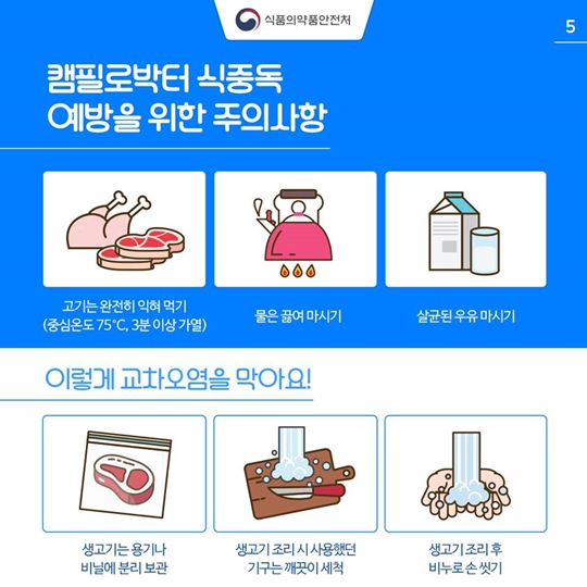 환절기에도 캠필로박터 식중독 주의