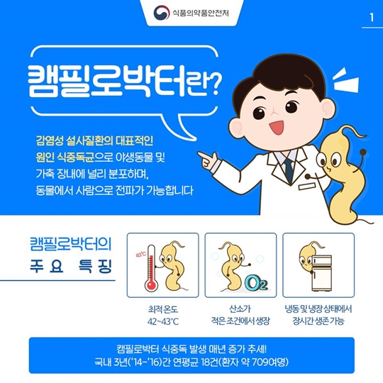 환절기에도 캠필로박터 식중독 주의