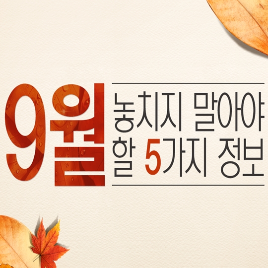 놓치지 말아야 할 5가지 정보