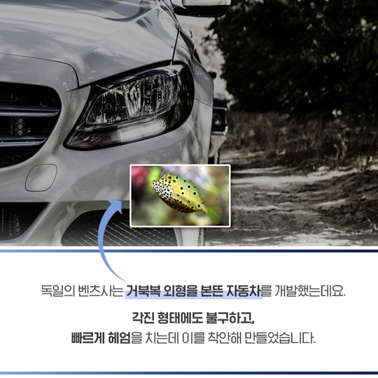 청색 경제