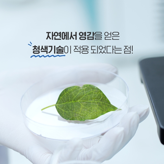 청색 경제