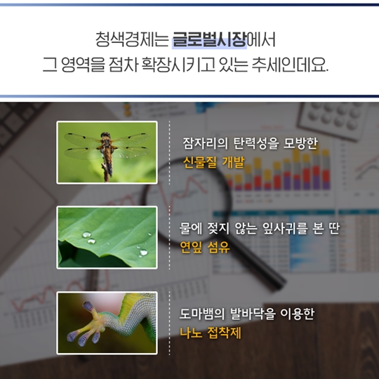 청색 경제