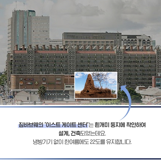 청색 경제