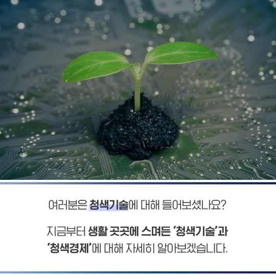 청색 경제