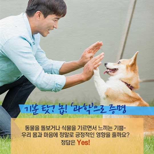 상처를 보듬는 치유 농업…치매 개선 효과