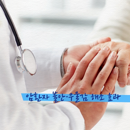 상처를 보듬는 치유 농업…치매 개선 효과