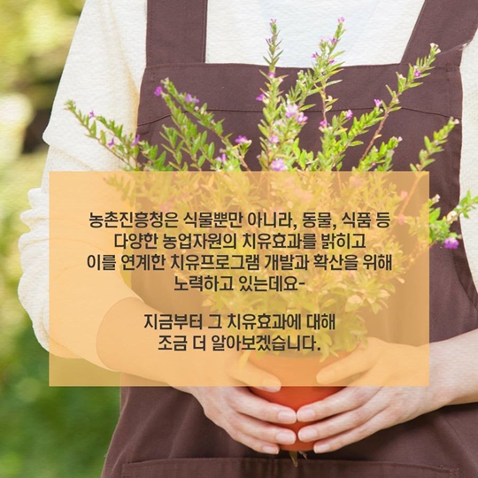 상처를 보듬는 치유 농업…치매 개선 효과