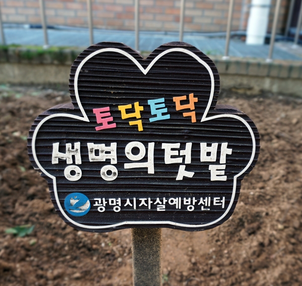 광명시 프로그램 중 수강생들이 생명의 텃밭을 가꾸며 삶의 희망을 보는 내용도 있다.