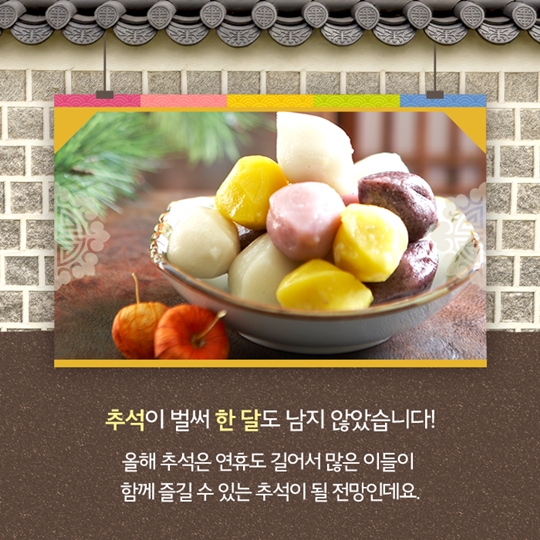 올해 추석선물은 너로 정했다