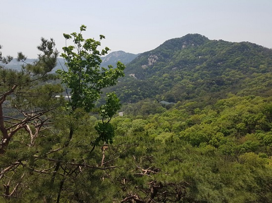 산에 오르거나 벌초할 땐 항상 벌을 조심해야 한다.