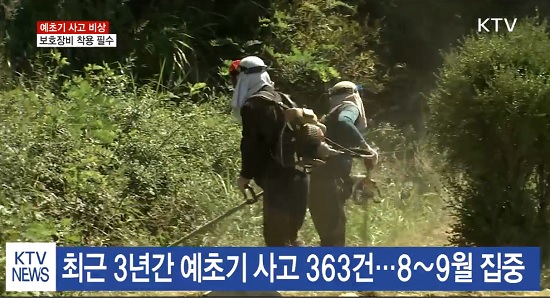 예초기를 사용하고 있는 모습.(사진=KTV)