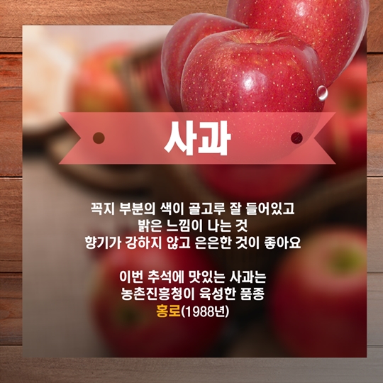한가위 과일 인삼 소고기 이렇게 골라요
