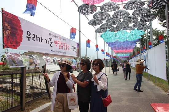 셀카에 열중인 춘천에서 왔다는 여고 동창생 일행.