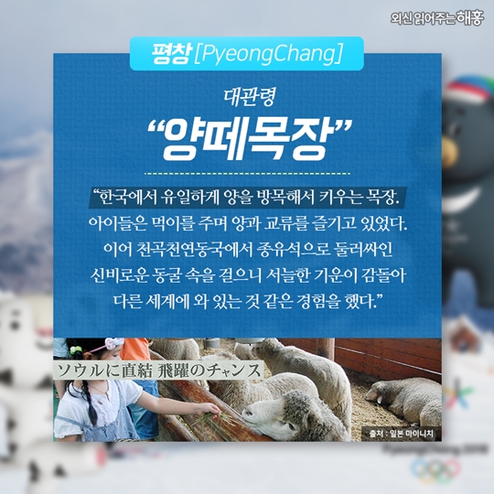 외신을 타고 떠나는 한국의 도시여행