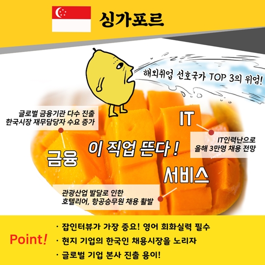 동남아 취업은 처음이지