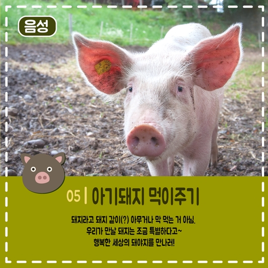 농행원정대 모집