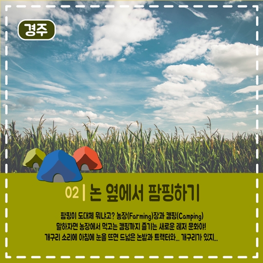 농행원정대 모집