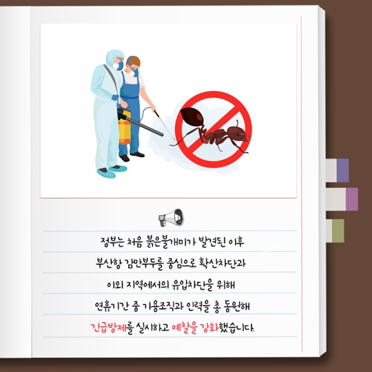붉은불개미